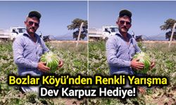 Bozlar Köyü’nden Renkli Yarışma: Dev Karpuz Hediye!