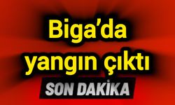 Biga’da yangın çıktı