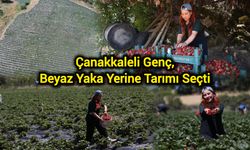 Çanakkaleli Genç, Beyaz Yaka Yerine Tarımı Seçti