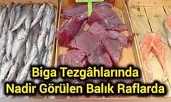 Biga tezgâhlarında nadir görülen balık raflarda