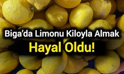 Biga’da limonu kiloyla almak hayal oldu! Pazarlarda tane fiyatı şoke etti