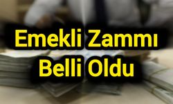 Haziran Enflasyonu Açıklandı! Emekliye Zam Belli Oldu