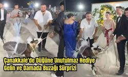 Çanakkale'de Düğüne Unutulmaz Hediye: Gelin ve Damada Buzağı Sürprizi