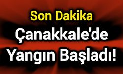 Son Dakika: Çanakkale'de Yangın Başladı!