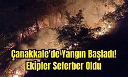 Çanakkale'de Yangın Başladı! Ekipler Seferber Oldu