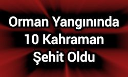Orman Yangınında 10 Kahraman Şehit Oldu