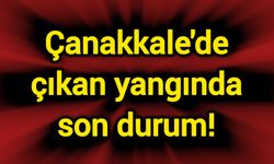 Çanakkale'de çıkan yangında son durum!