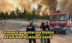 Orman Yangınlarına İlişkin AFAD'dan Açıklama Geldi