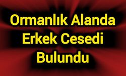 Ormanlık alanda cansız beden bulundu