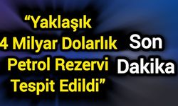 “Yaklaşık 4 milyar dolarlık petrol rezervi tespit edildi”