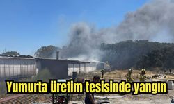 Yumurta üretim tesisinde yangın
