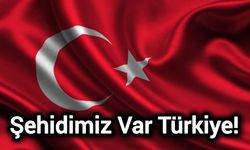 Şehidimiz Var Türkiye!