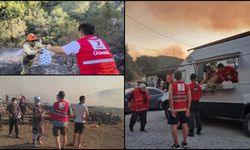 Kızılaydan orman yangınlarından etkilenenlere kumanya desteği