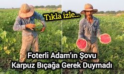 Tıkladı, Çatladı! Bozlar Karpuzu Yine Şov Yaptı