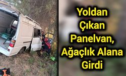 Yoldan çıkan panelvan, ağaçlık alana girdi