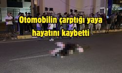 Otomobilin çarptığı yaya hayatını kaybetti
