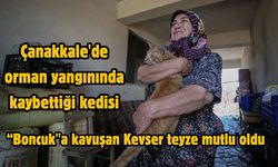 Çanakkale’de umut dolu an: Boncuk evine döndü