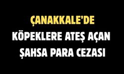 Çanakkale’de köpeklere ateş açan şahsa para cezası