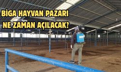 Biga Hayvan Pazarı ne zaman açılacak?