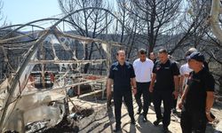 Çanakkale Yangınında Hasar Tablosu Belli Oldu