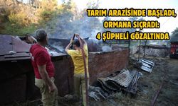 Çanakkale alev alev! Müdahale 2. gününde