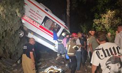 Kamyonet ile ambulansın çarpıştığı kazada bir kadın hayatını kaybetti