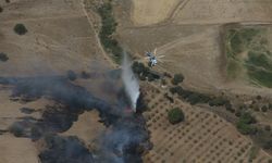 Çanakkale’de bir yangın daha çıktı