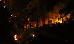 Çanakkale'deki yangından son gelişme
