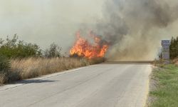 Çan'da korkutan yangın