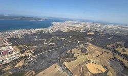 Çanakkale'deki yangında zarar gören alanlar helikopterden görüntülendi