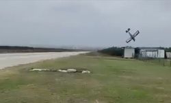 Evlilik teklifi için havalanan uçağın düşmesi kamerada