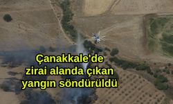 Çanakkale'de zirai alanda çıkan yangın söndürüldü