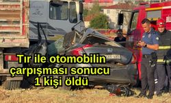 Tır ile otomobilin çarpışması sonucu 1 kişi öldü
