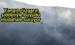Yangın rüzgarın şiddetiyle büyüdü müdahale sürüyor