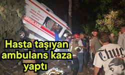 Hasta taşıyan ambulans kaza yaptı