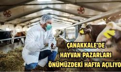 Çanakkale’de hayvan pazarları önümüzdeki hafta açılıyor