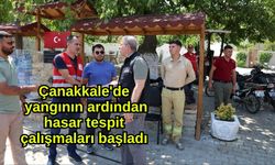 Çanakkale'de yangının ardından hasar tespit çalışmaları başladı