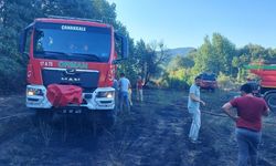 Çanakkale'de zirai alanda çıkan yangın ile ilgili son durum!