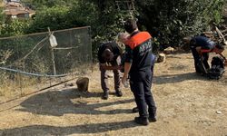 Çanakkale'de kaybolan 3 yaşındaki çocuk hakkında yeni gelişme