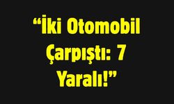 İki Otomobil Çarpıştı: 7 Yaralı!