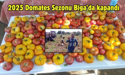 2025 Domates Sezonu Biga’da kapandı