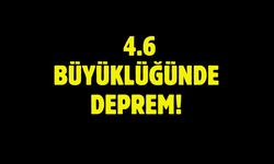 "BALIKESİR'DE 4.6 BÜYÜKLÜĞÜNDE DEPREM! ENDİŞE YARATTI"
