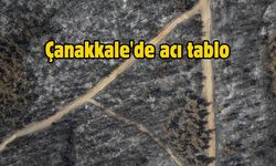 Çanakkale'de yangında zarar gören alanlar dronla görüntülendi