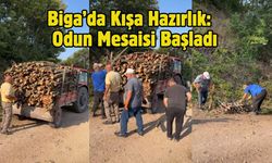 Biga’da Kışa Hazırlık: Odun Mesaisi Başladı