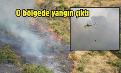 Makilikte çıkan yangına müdahale ediliyor