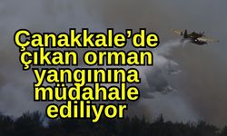 Çanakkale’de çıkan orman yangınına müdahale ediliyor