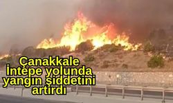 Çanakkale İntepe yolunda yangın şiddetini artırdı