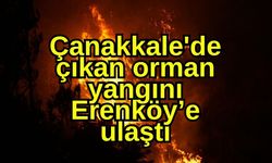 Çanakkale'de çıkan orman yangını  Erenköy’e ulaştı