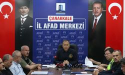 Bakan Yerlikaya, Çanakkale'deki orman yangınına ilişkin açıklamalarda bulundu