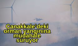 Çanakkale’deki orman yangınına müdahale sürüyor